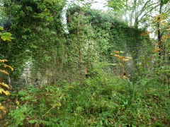 The slumbering walls of the loco works, Machen, October 2012