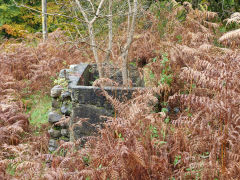 
Oakfield Bungalow, Machen, October 2012