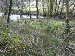 Pandy Woollen Mill leat, Machen, March 2012