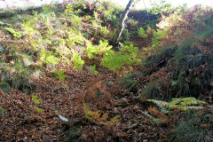 Sun Vein Level, Machen, October 2010