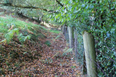 
Sun Vein Level incline, Machen, October 2010