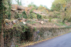 
Penllwyn Lane middle and upper lines, Machen, October 2010