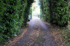 Penllwyn Lane middle line trackbed, Machen, October 2010