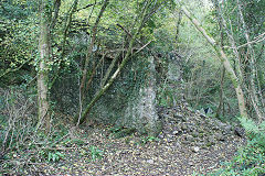 
Cwm Leyshon leadmines building, Draethen, November 2010