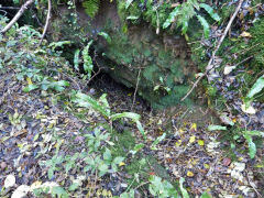 Cwm Leyshon lower level, Draethen, November 2012