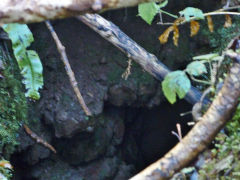 
Cwm Leyshon lower level, Draethen, November 2012