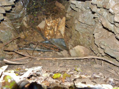 
Cwm Leyshon lower level, Draethen, November 2012