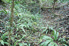 Cwm Leyshon middle level, Draethen, November 2010