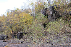 
Cwm Leyshon Quarry, Draethen, November 2010