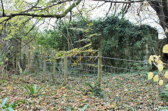 
Cwm Leyshon Quarry building, Draethen, November 2010