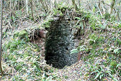 
Cwm Leyshon upper limekilns, Draethen, November 2010