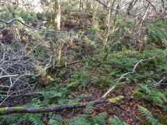 
The two 1875 old shafts, Draethen, November 2012