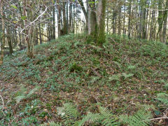 
The tips next to the 1875 old shafts, November 2012