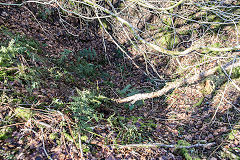 
Draethen Central Mines double shaft, February 2016