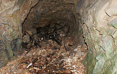 
The Clive lead mine, Draethen, November 2010