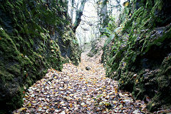 
The Clive lead mine, Draethen, November 2010