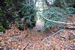 
The Clive lead mine, Draethen, November 2010