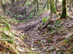 Clive West Mine tramway, Draethen, November 2012