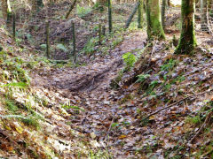 
Clive West Mine tramway, Draethen, November 2012