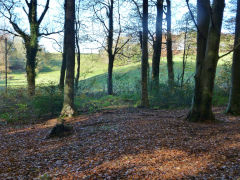 Clive West Mine and tramway, Draethen, November 2012