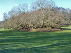 Clive West Mine, Draethen, February 2013