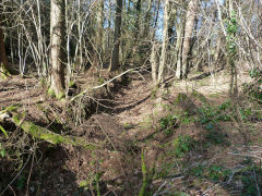 
Clive West Mine tramway, Draethen, February 2013