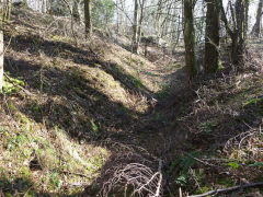 
Clive West Mine tramway, Draethen, February 2013