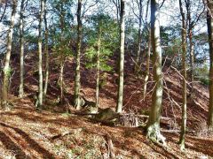 
Tip below the Clive lead mine, Draethen, November 2012