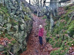 -
Canyon behind the Draethen Mine, November 2012