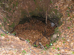 
Ancient lead mining to the NE of the 'Maen Llwyd', Draethen, July 2010