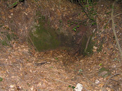 
Ancient lead mining to the NE of the 'Maen Llwyd', Draethen, July 2010