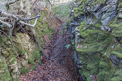 
Canyon behind Draethen Little Mine, February 2016