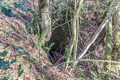 
Level below Draethen Roman Mine, February 2016