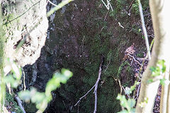 
Level below Draethen Roman Mine, February 2016