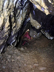 
Draethen Roman Mine, February 2016