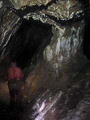 Draethen Roman Mine, February 2016