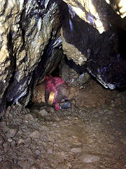 Draethen Roman Mine, February 2016