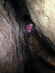 Draethen Roman Mine, February 2016