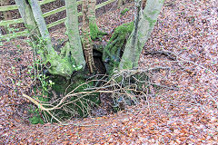 
Draethen South-West Mines, February 2016