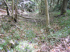 
This appears to be a watercourse to Draethen Village, May 2010