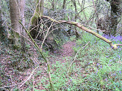 
This appears to be a watercourse to Draethen Village, May 2010