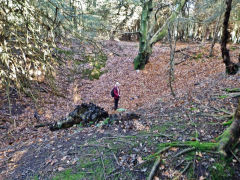 
Pits in the Draethen South-Western mines, November 2012