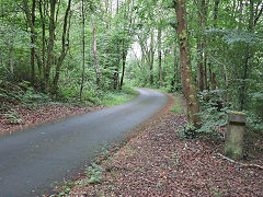 
The BMR trackbed South of the station, Aberbargoed, June 2023