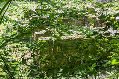The ruins of Blackbrook Colliery and Furnace Blwm Brickworks, Caerphilly, June 2017