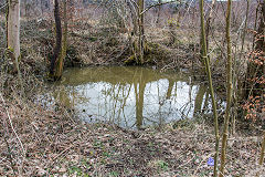 Coed parc-y-van shaft, March 2018