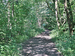 The trackbed of the TVER link to the B&MR at Fleur-de-lis, August 2021