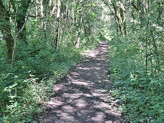 
The trackbed of the TVER link to the B&MR at Fleur-de-lis, August 2021