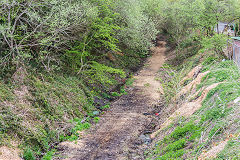 
Penallta Colliery branch trackbed, Hengoed, April 2015