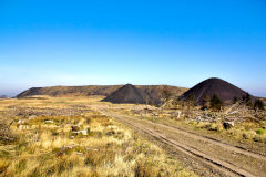 
Llanbradach Colliery tips, March 2014