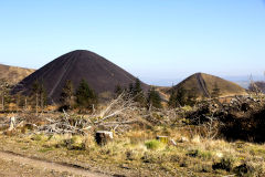 
Llanbradach Colliery tips, March 2014